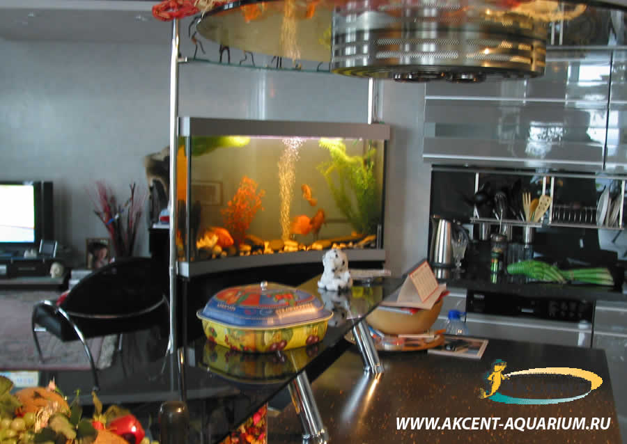 Акцент-аквариум, аквариум просмотровый сложной формы, вид со стороны гостинной